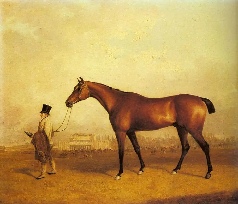 Toperfect 18 Famous Paintings - Emilius Winner Of The 1832Derby horse John Ferneley Snr - Handmade Oil Art on Canvas -01, $50-$2000 Hand Painted by Art Academies' Teachers