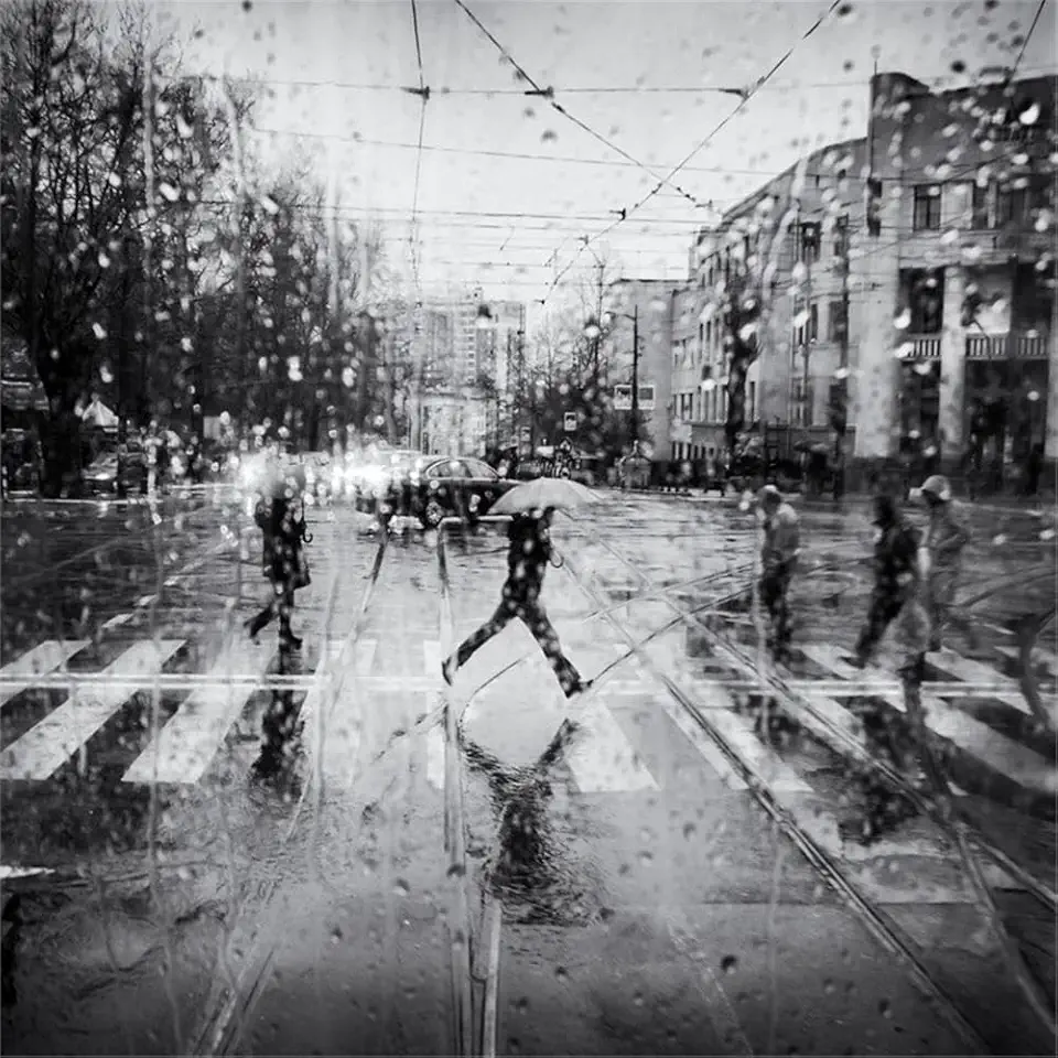 Giant Art 84x84 The Decisive Leap Fine Art Giant Canvas Print in White