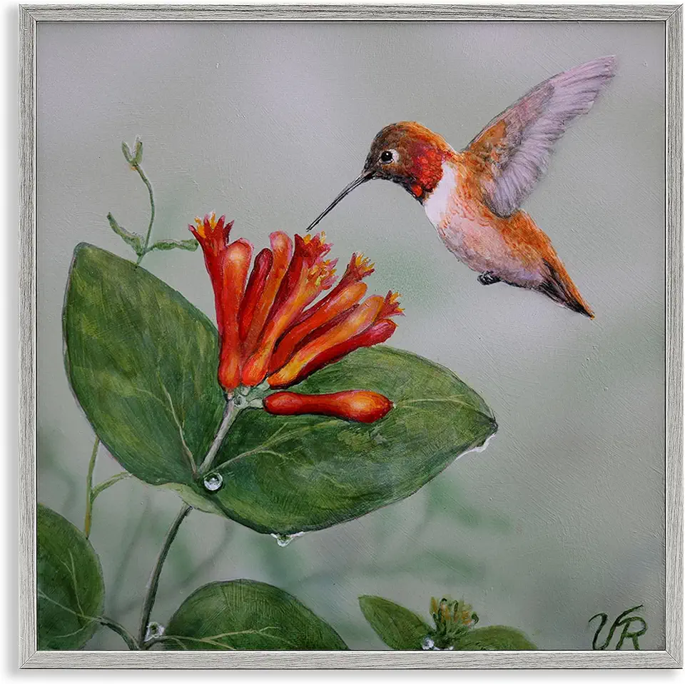Stupell Industries Red Hummingbird & Flower Gray Framed Giclee Wall Art Design by Valerie Rogers, 24 x 24