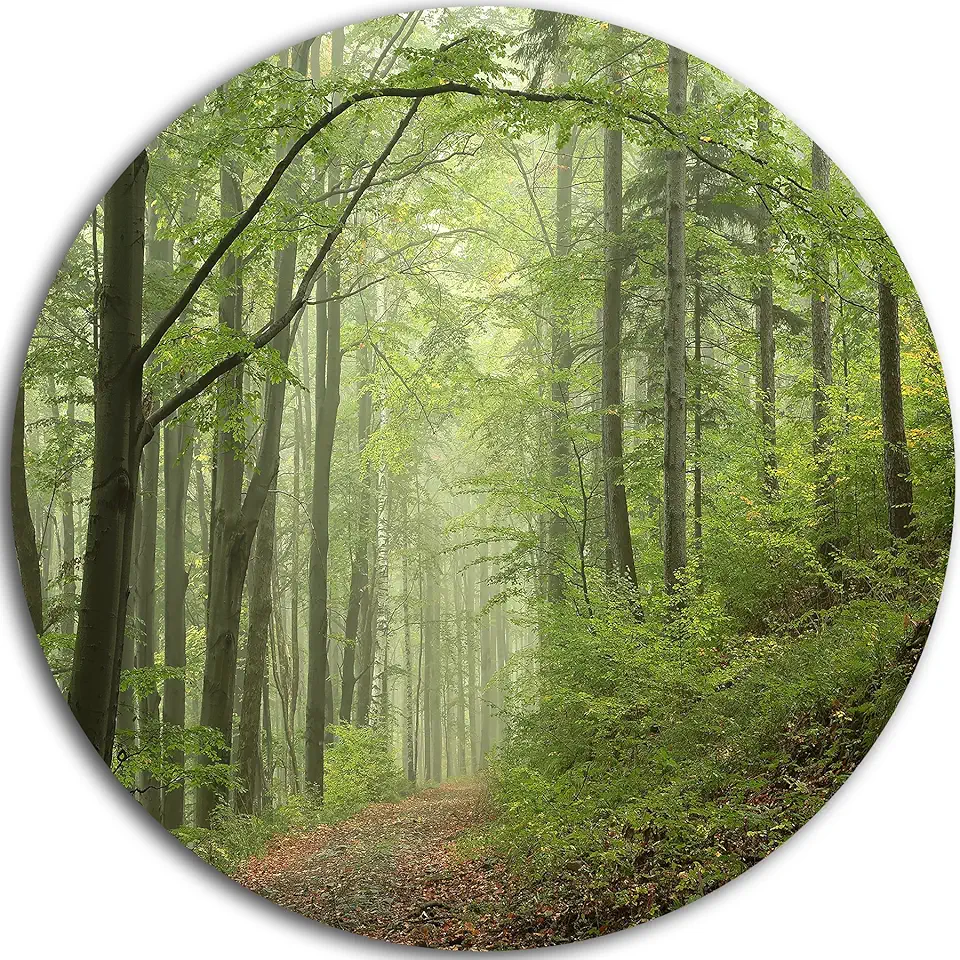Designart Early Green Fall Forest-Landscape Photo Metal Wall Art-Disc of 23, 23'' H x 23'' W x 1'' D 1P