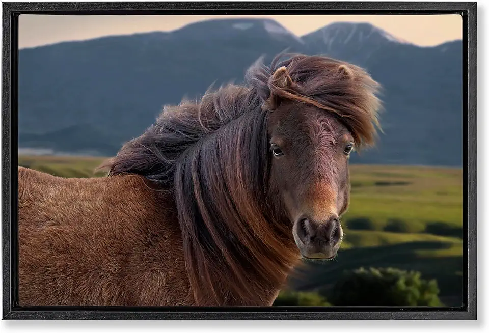 Stupell Industries Windblown Mare in Mountain Valley Black Framed Floater Canvas Wall Art, design by Steve Toole, 25 x 17