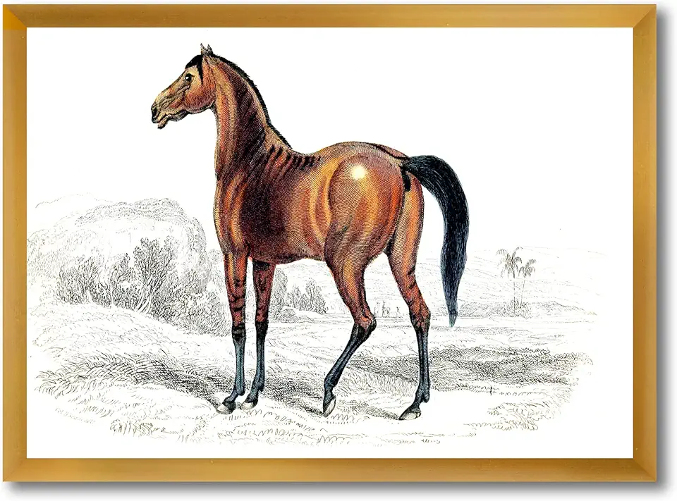 Vintage Horse Farmhouse Framed Wall Art