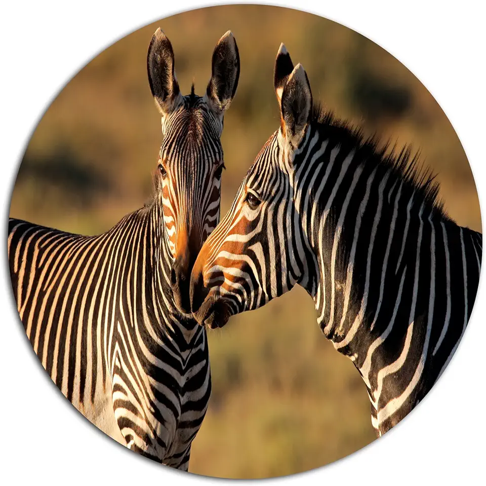 Designart Cape Mountains Zebras African Metal Wall Art-Disc of 23 inch, 23'' H x 23'' W x 1'' D 1P, Black/White