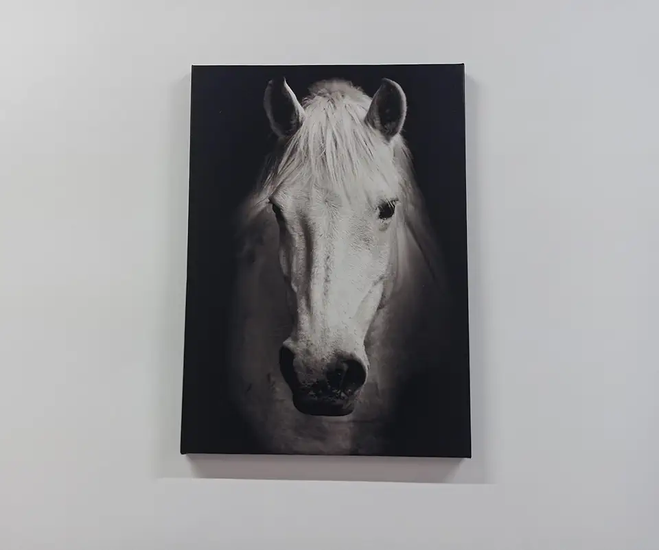 White Horse Photo Print Transformed Into Modern Artwork On Art Canvas Perfect As A Contemporary Decoration Or Horse Lover Gift - 1PC - 100x235