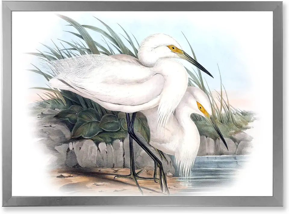 Vintage Bird Life I Traditional Framed Wall Art