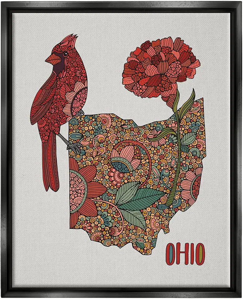 Stupell Industries Ohio State Carnation Blossom Intricate Floral Cardinal Floating Framed Wall Art, Design By Valentina Harper