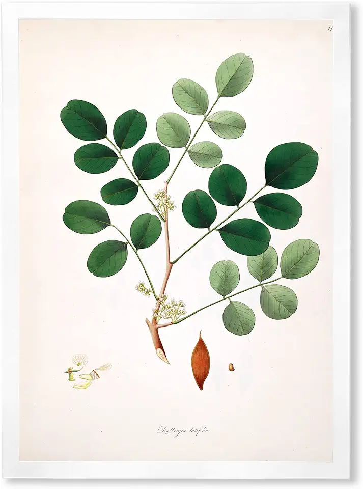 Vintage Plant Life XI Farmhouse Framed Wall Art