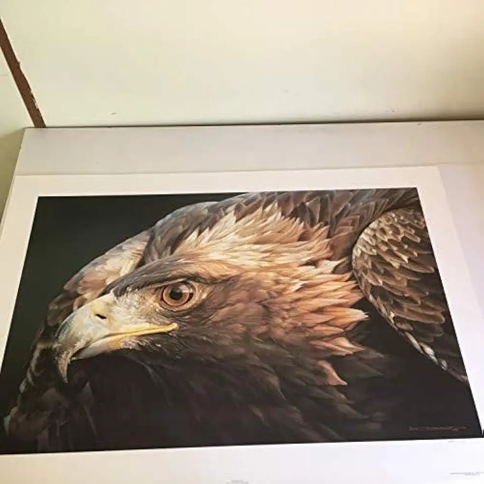 Limited Edition Print Sovereign Gold-Eagle-Carl Brenders