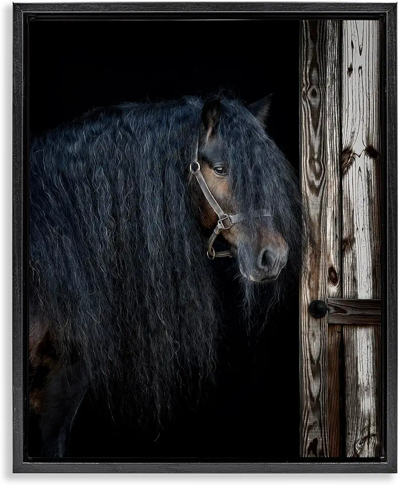 Stupell Industries Horse with Wavy Mane Black Framed Floater Canvas Wall Art Design by PHBurchett, 17 x 21