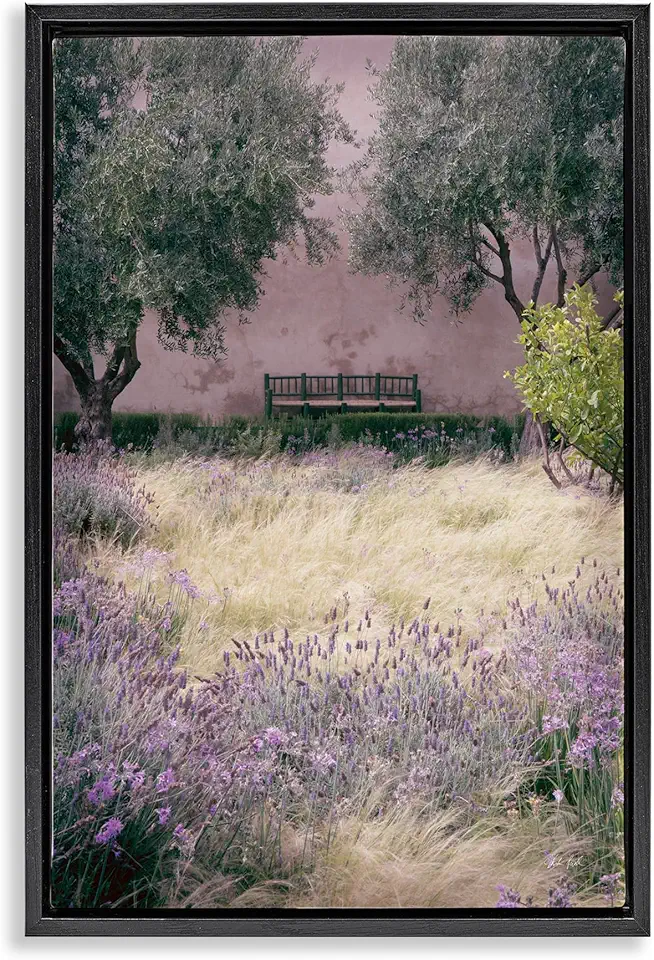 Stupell Industries Bench Amidst Natural Garden Black Framed Floater Canvas Wall Art Design by Deborah Revell, 17 x 25