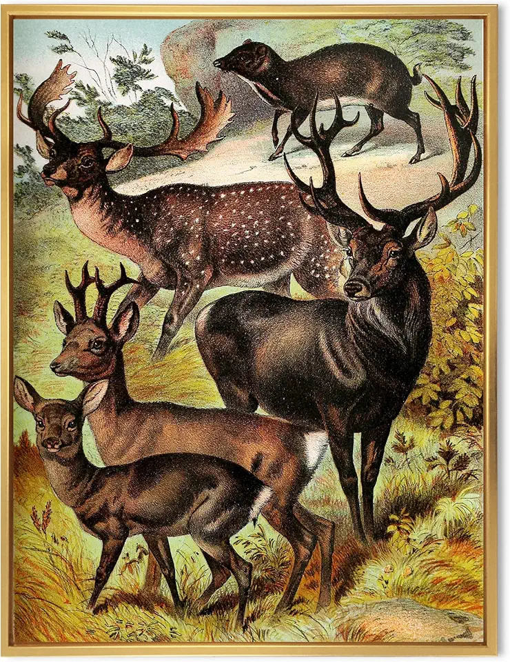 Vintage Mammals I - Farmhouse Framed Canvas Wall Art Print