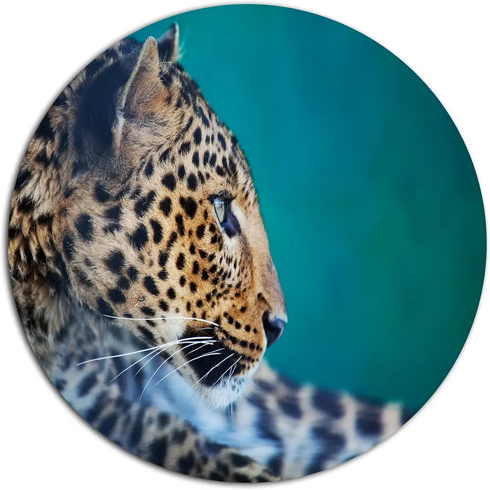 Designart Vigilant Leopard Close-Up View African Metal Wall Art-Disc of 23 inch, 23'' H x 23'' W x 1'' D 1P, 23X23-Disc