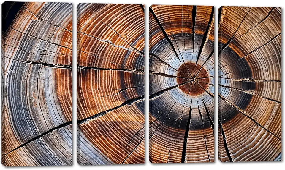 80 x 50 TOTAL - Tree Ring Canvas Wall Art Nature print tree slice wood grain art print - 4 Panel Split