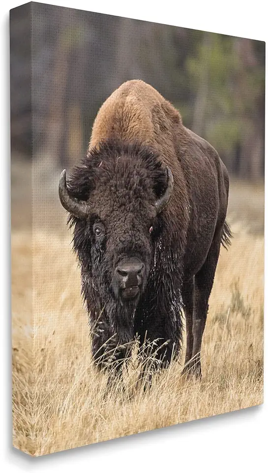 Stupell Industries Wild American Bison Grazing Rustic Tall Grass, Designed by Larry McFerrin Canvas Wall Art, Brown