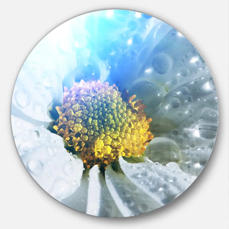 Designart MT12621-C23 Wall Art-Disc of 23 inch, 23'' H x 23'' W x 1'' D 1P, White