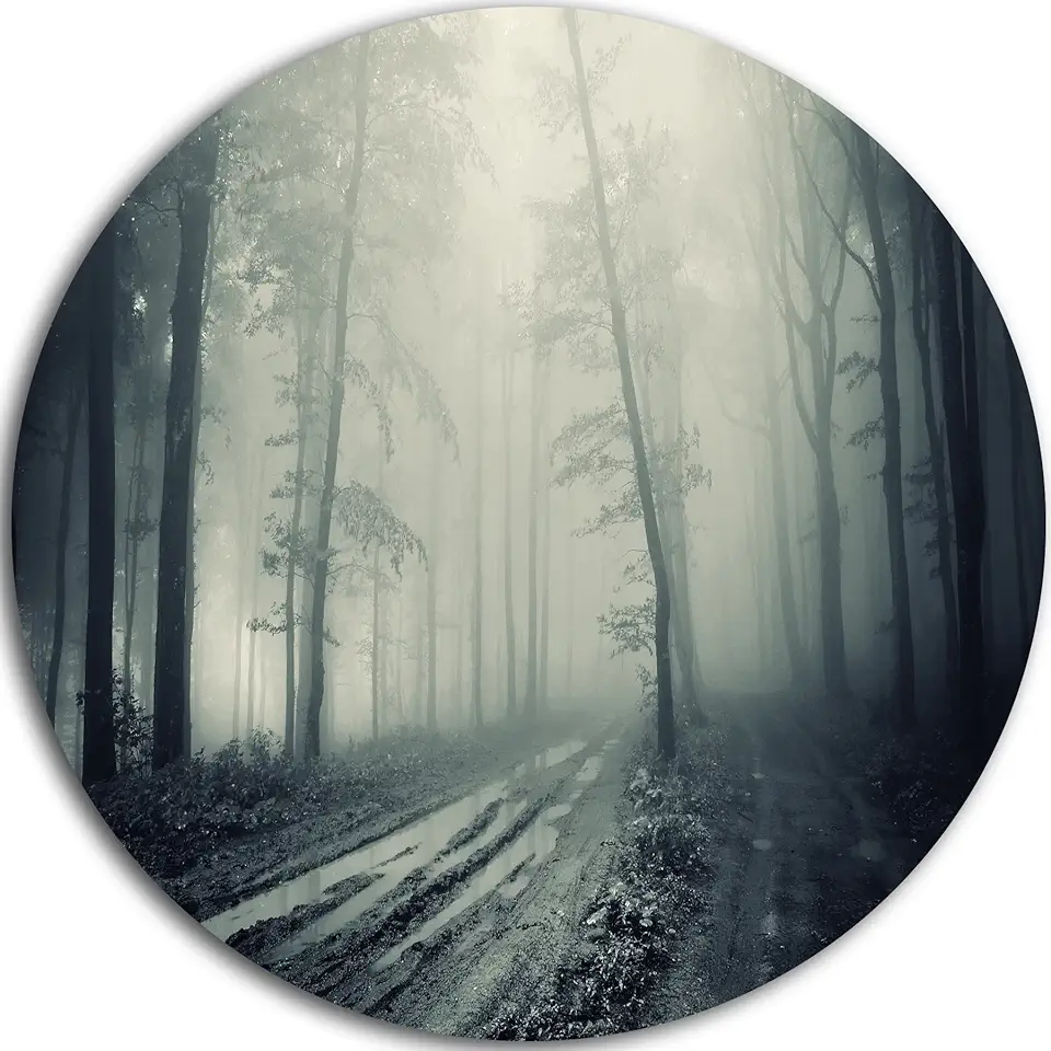 Designart Spooky Dark Forest with Fog-Landscape Photo Round Wall Art-Disc of 23, 23'' H x 23'' W x 1'' D 1P, Black/White