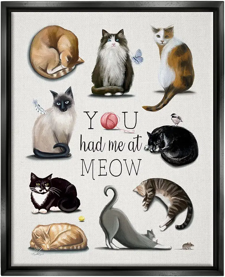 Stupell Industries You Had Me At Meow Cat Pet Framed Floater Canvas Wall Art, Design by Elizabeth Tyndall