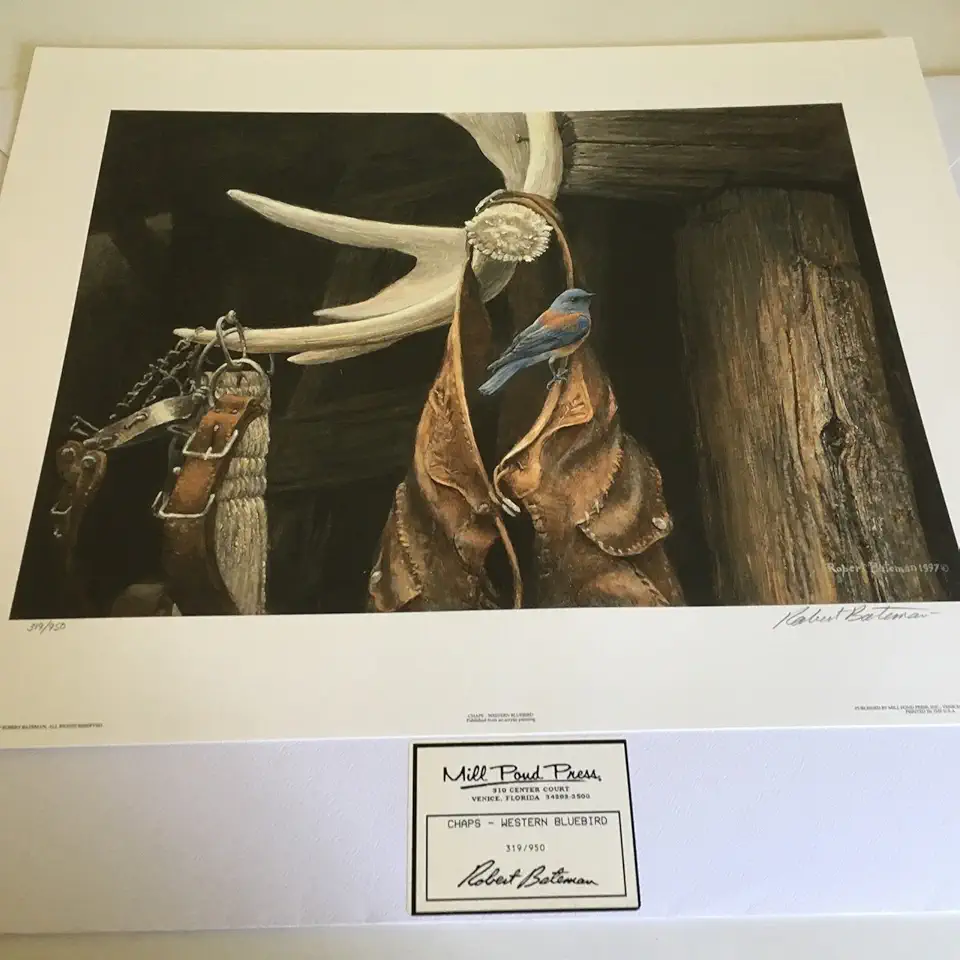 Limited Edition Print Chaps Western Bluebird-Robert Bateman