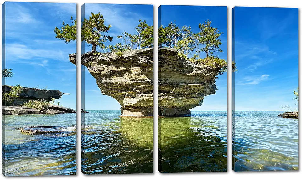 80 x 50 TOTAL - Turnip Rock Canvas Print Wall Art blue skies 4 Panel Split Lake Huron Port Austin Michigan