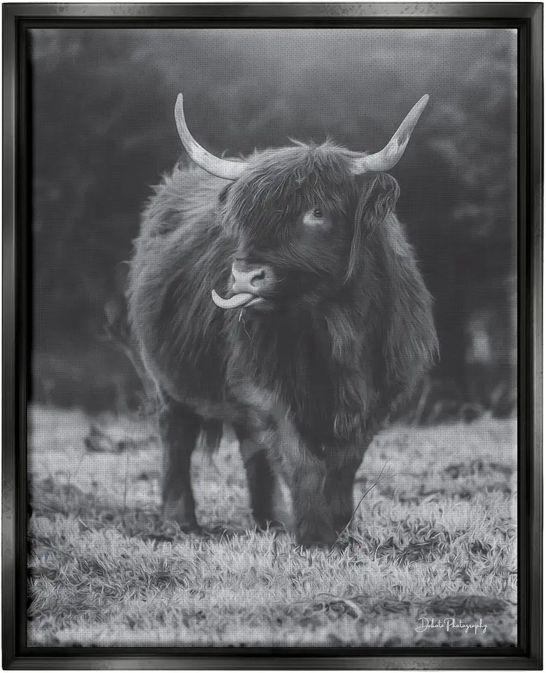 Stupell Industries Monochrome Highland Cow Photography Framed Floater Canvas Wall Art, Design by Dakota Diener