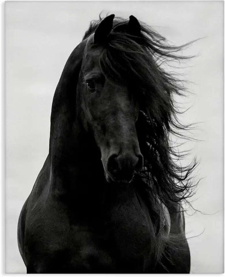 Stupell Industries Black Stallion Horse Portrait, Designed By Carol Walker, 24 x 30, Canvas Wall Art