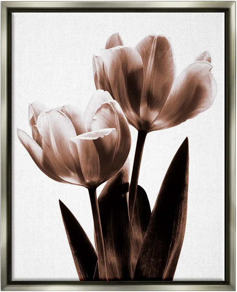 Stupell Industries Modern Tulip Silhouette Duo Framed Floater Canvas Wall Art, Design by Caroline Kelly