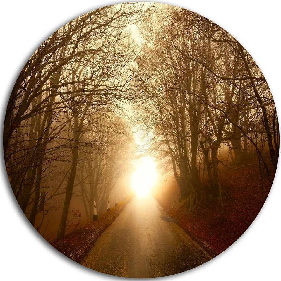 Designart Path to Sunlight in Autumn Forest-Landscape Photo Round Wall Art-Disc of 23, 23'' H x 23'' W x 1'' D 1P, Brown
