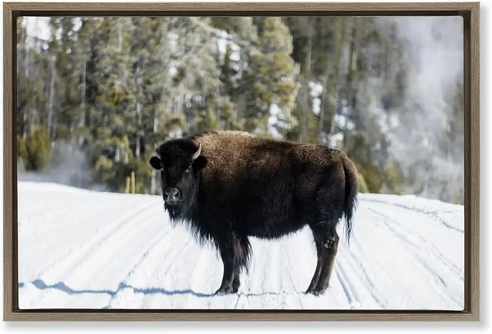 Stupell Industries Bison on Snowy Track Brown Framed Floater Canvas Wall Art Design by PIDDIX, 25 x 17