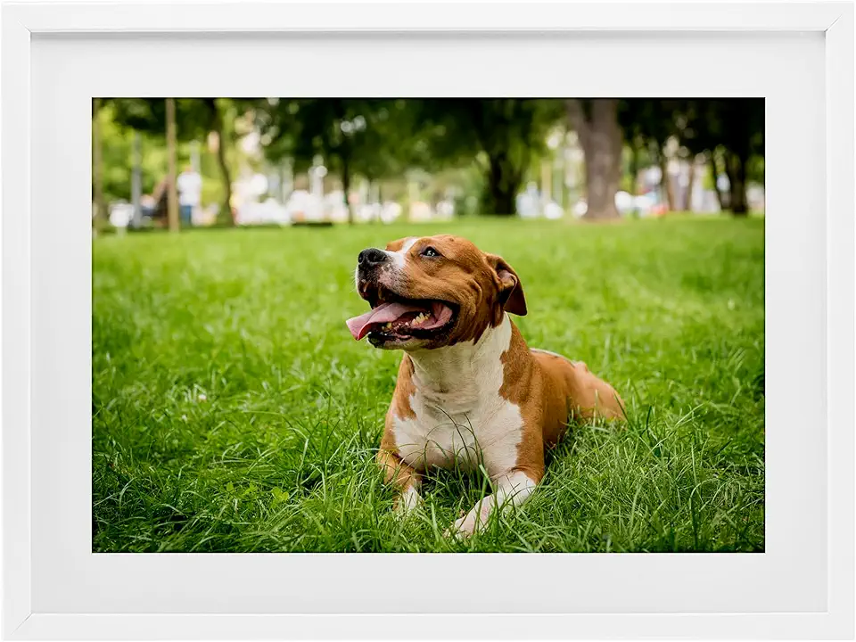 Stupell Industries Personalized Custom Print Rectangular White Framed Print Under Glass Wall Art