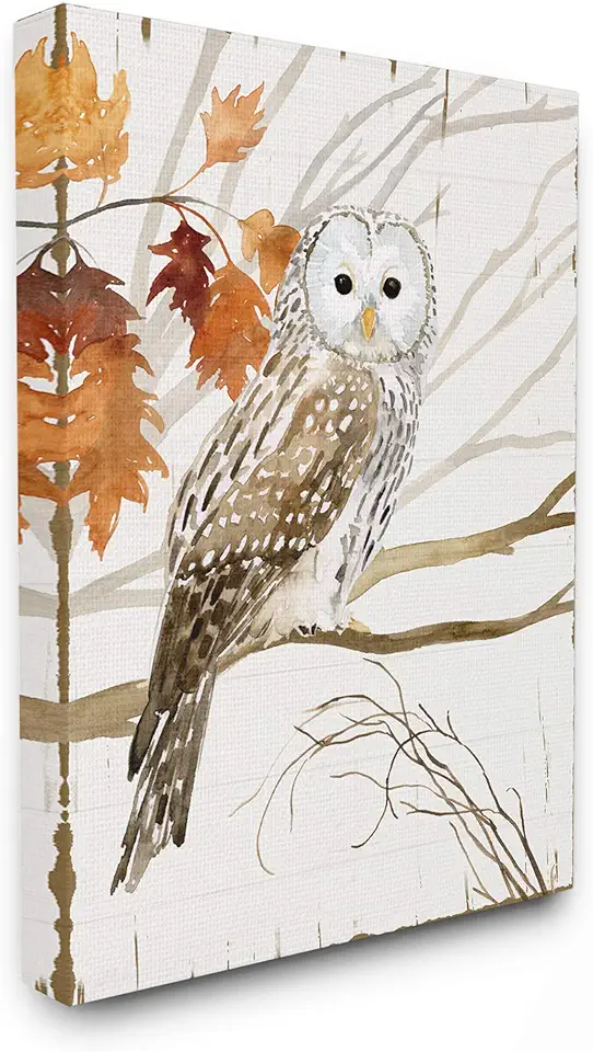 Stupell Industries Owl in Autumn Forest Animal Watercolor Painting Canvas Wall Art, 36 x 48, Multi-Color