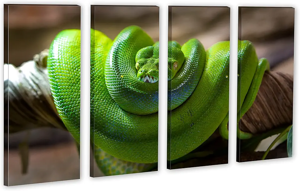 80 x 50 TOTAL - Green Boa Snake Wall Art Canvas Print 4 Panel split, Snake Home Decor, interior Wall design