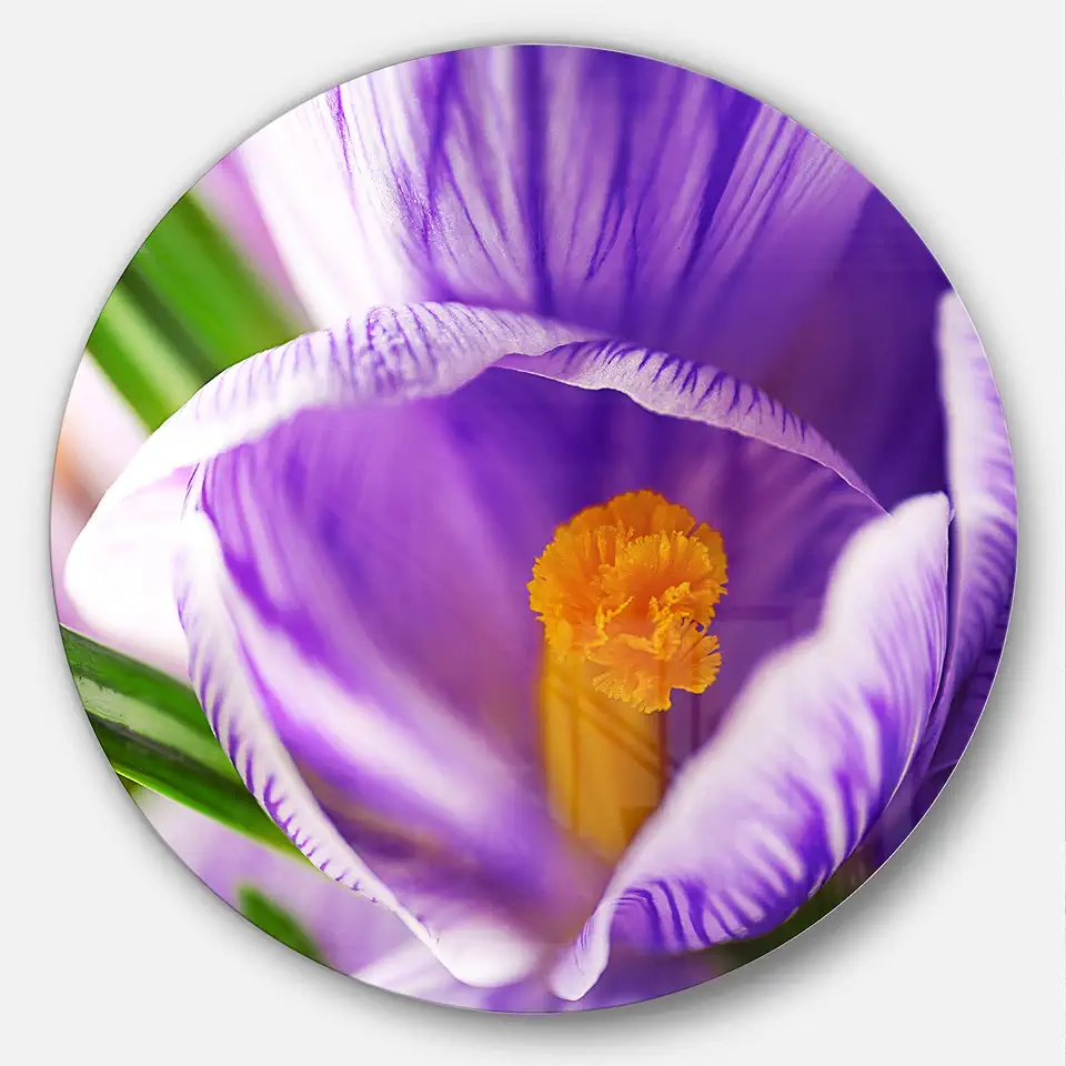 Designart Blooming Crocus Flower-Floral Round Metal Wall Art-Disc of 23, 23'' H x 23'' W x 1'' D 1P, Red