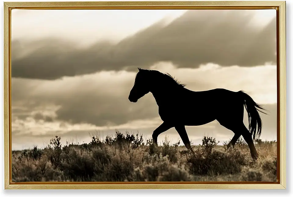 Stupell Industries Silhouette of Horse Roaming Gold Framed Floater Canvas Wall Art Design by Danita Delimont, 25 x 17