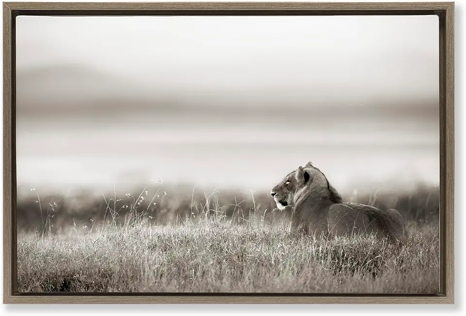 Stupell Industries Resting Lion in Savanna Grass Brown Framed Floater Canvas Wall Art Design by Danita Delimont, 25 x 17
