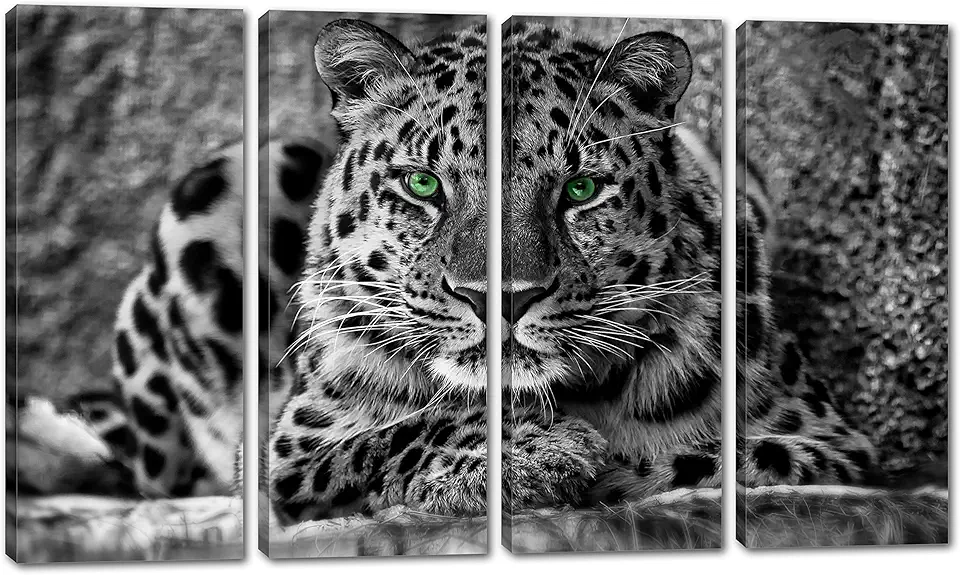 80 x 50 TOTAL - Amur Leopard Canvas Print Wall Art B&W green eyes 4 Panel Split Big Cat, wildlife, animal