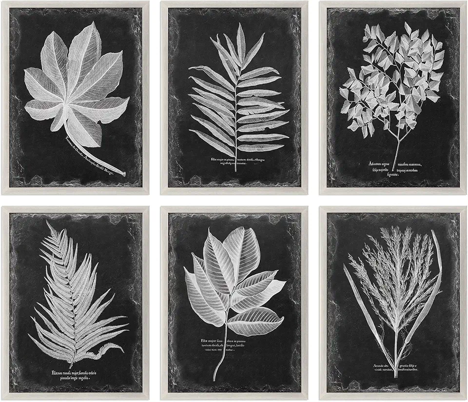MY SWANKY HOME Set 6 Black Silver Vintage Style Leaf Prints | Wall Art Group Floral Botanical