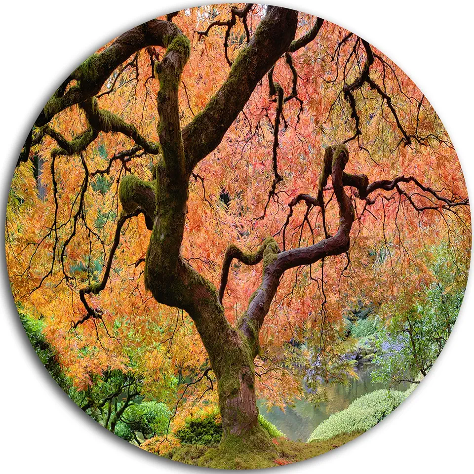 Designart MT6493-C23 Wall Art-Disc of 23 inch, 23'' H x 23'' W x 1'' D 1P, Red