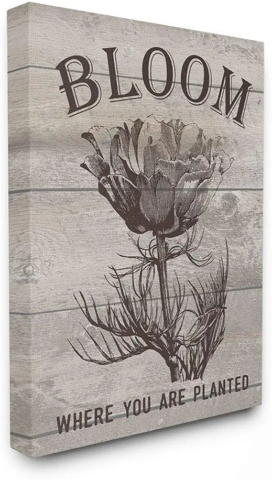 Stupell Industries Bloom Where You're Planted Vintage Flower Line Drawing Canvas Wall Art, Multi-Color