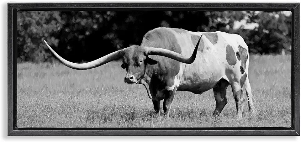 Stupell Industries Spotted Longhorn in Grassland Black Framed Floater Canvas Wall Art Design by Lori Deiter, 31 x 14
