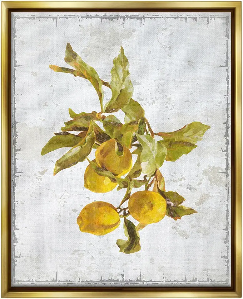 Stupell Industries Natural Lemon Branch Framed Floater Canvas Wall Art by GraffiTee Studios