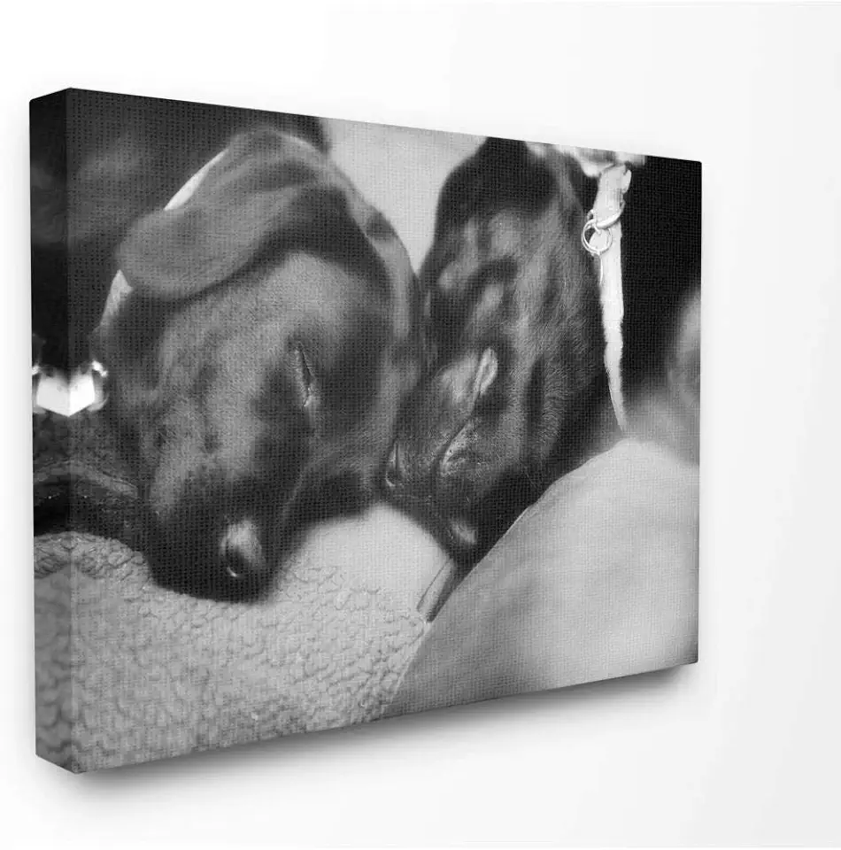 Stupell Industries Cute Cuddle Dog Pet Animal Black and White Photo Canvas Wall Art, 30 x 40, Multi-Color