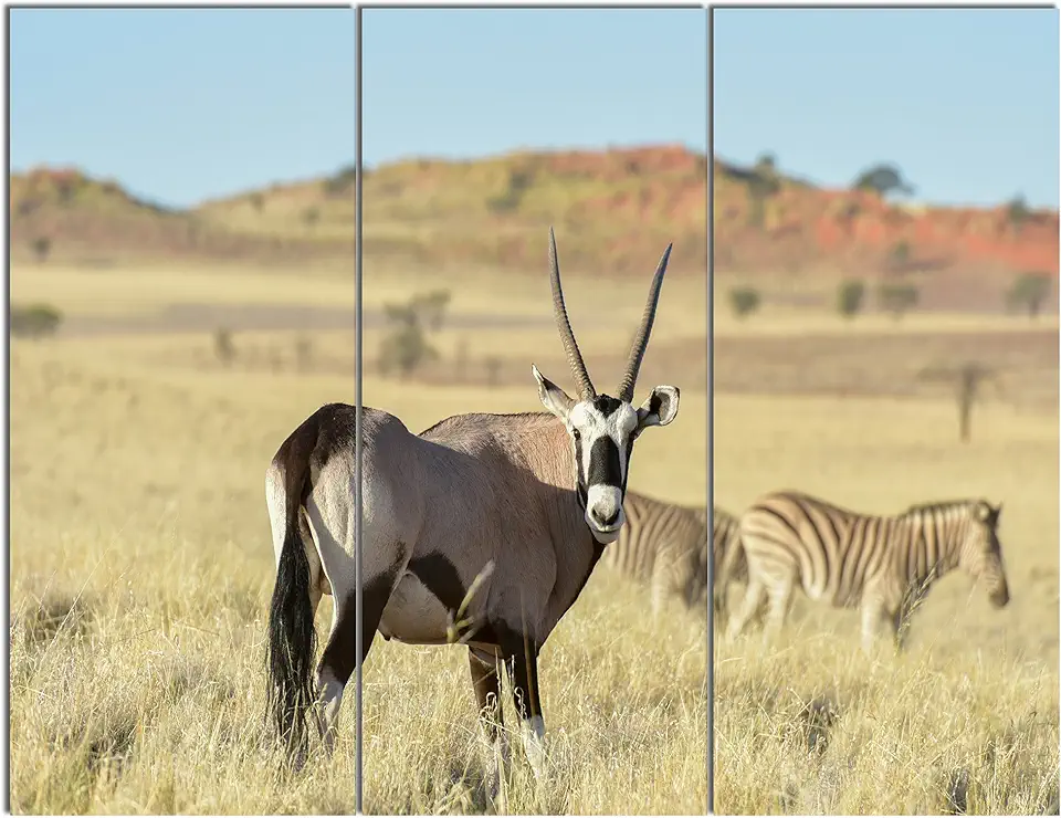 Designart PT13051-36-28-3P Wildlife in Namibia Grassland-African Wall Art Canvas Print, 36x28-3 Panels