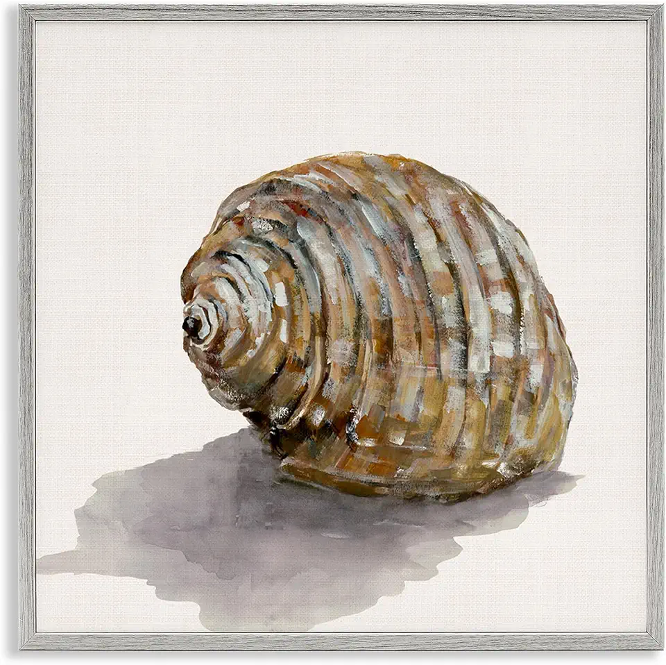 Stupell Industries Curved Seashell on Beige Gray Framed Giclee Wall Art Design by Jacob Q, 24 x 24