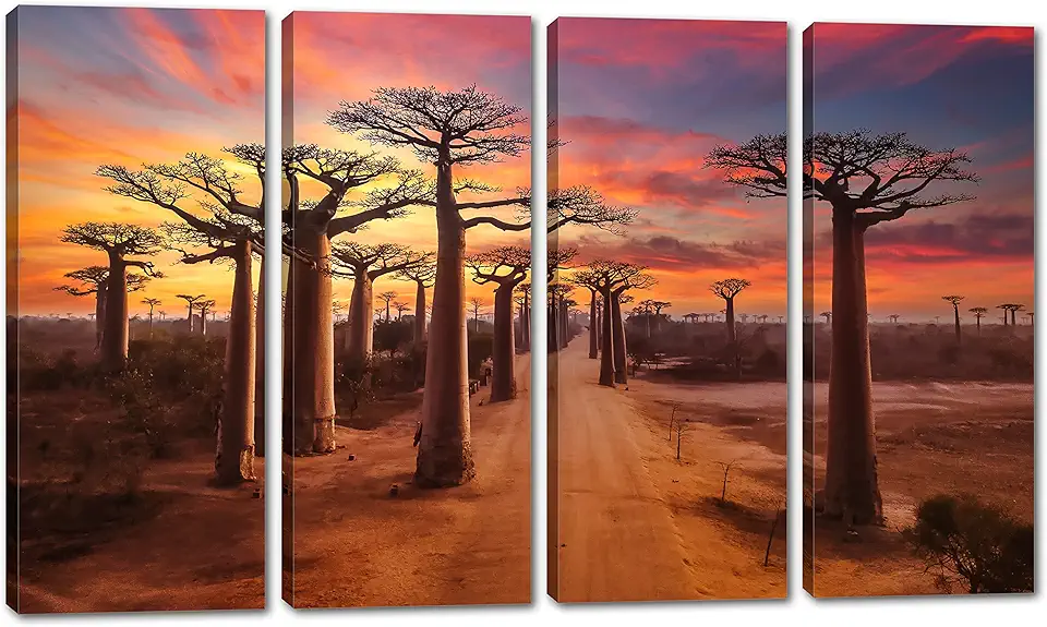 80 x 50 TOTAL - Baobab trees Wall Art Canvas Print at dusk 4 Panel Split Madagascar Trees Landscape Art