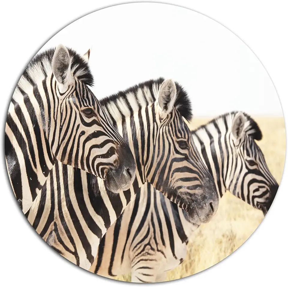 Designart Zebras in A Row in Grassland African Metal Wall Art-Disc of 23 inch, 23X23-Disc, White