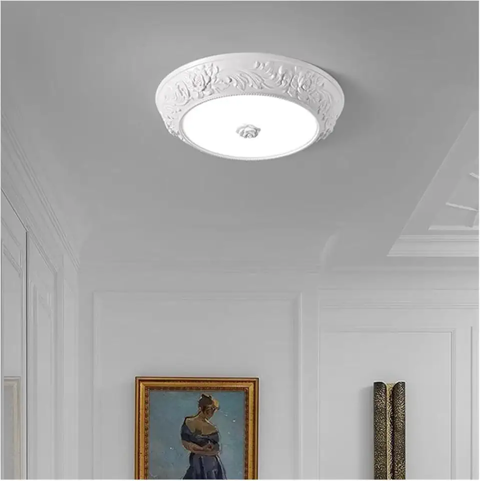 MOYEE Alloy Resin Acrylic Art Circle Led Ceiling Light ，Ceiling Chandelier，Lamps for Room，Decoration for Bedroom,Hanging Light(Cold White,D28Cm)/Cold White/D45cm