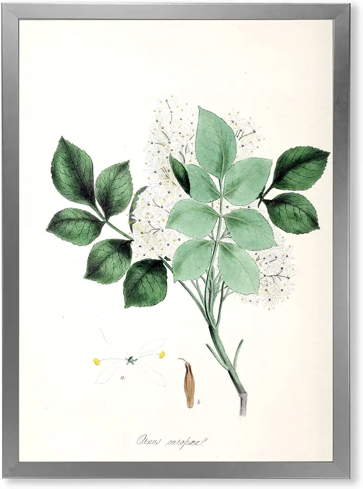 Vintage Blossoming Flower IV Farmhouse Framed Wall Art, Green, 24x24