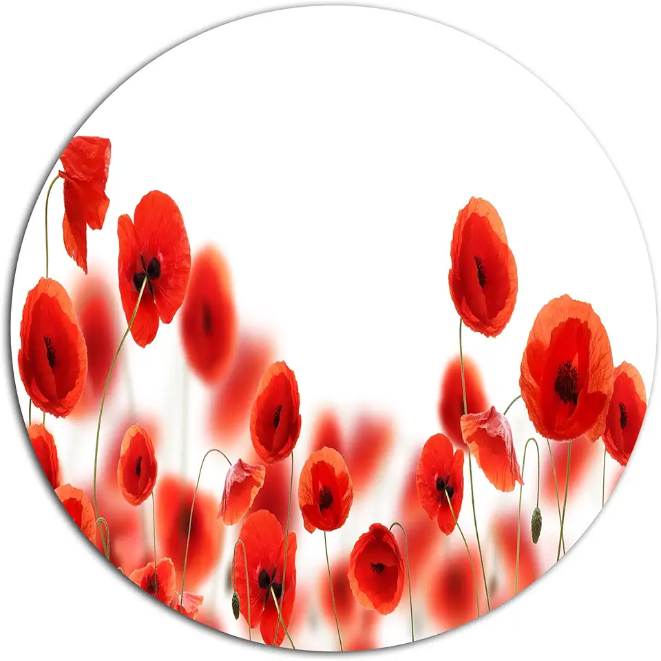 Designart MT13003-C23 Metal Wall Art-Disc of 23 inch, 23'' H x 23'' W x 1'' D 1P, White