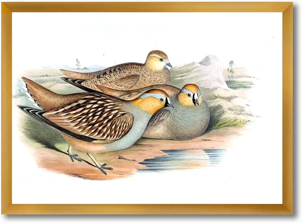 Vintage Birds In The Wild III Traditional Framed Wall Art
