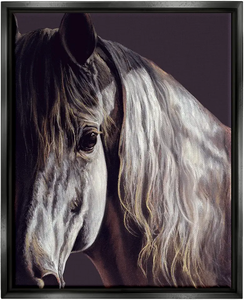 Stupell Industries Close Up Horse Face Portrait Framed Floater Canvas Wall Art, Design by Kim McElroy